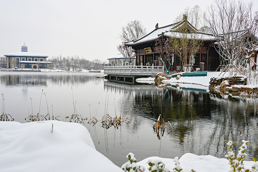 雄安新區(qū)容東片區(qū)園林雪景。胡忠攝